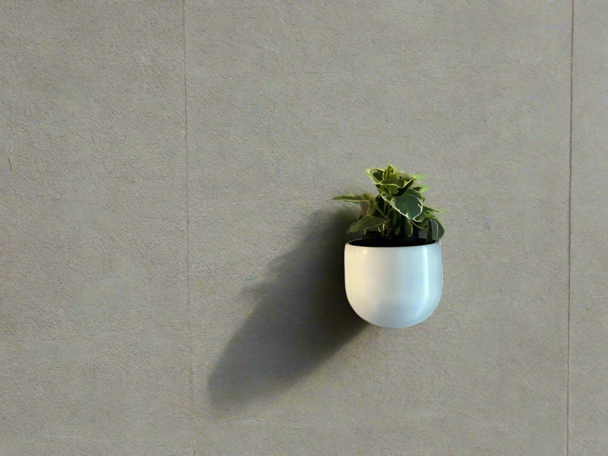 Wall Mounted Planters